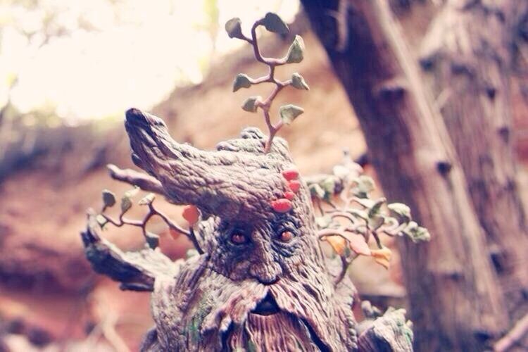 focus on foreground, close-up, dry, nature, selective focus, outdoors, day, leaf, no people, animal themes, branch, tree, wood - material, twig, growth, fragility, brown, plant, beauty in nature, sunlight