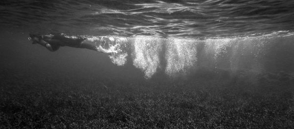 Man swimming in sea