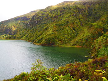 Scenic view of lake by trees against sky