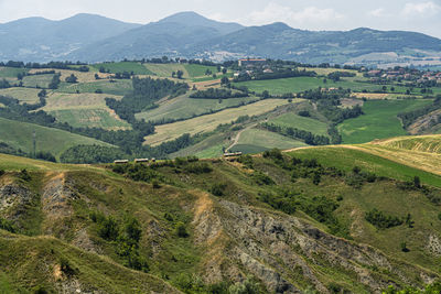 High angle view of agricultural landscape