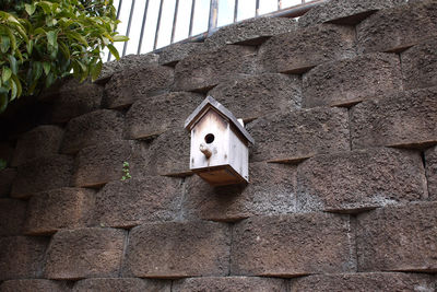 Low angle view of bird on wall