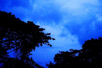 Low angle view of silhouette trees against blue sky