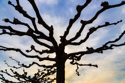 Low angle view of bare tree against cloudy sky