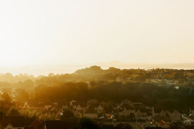 High angle view of trees and buildings against clear sky