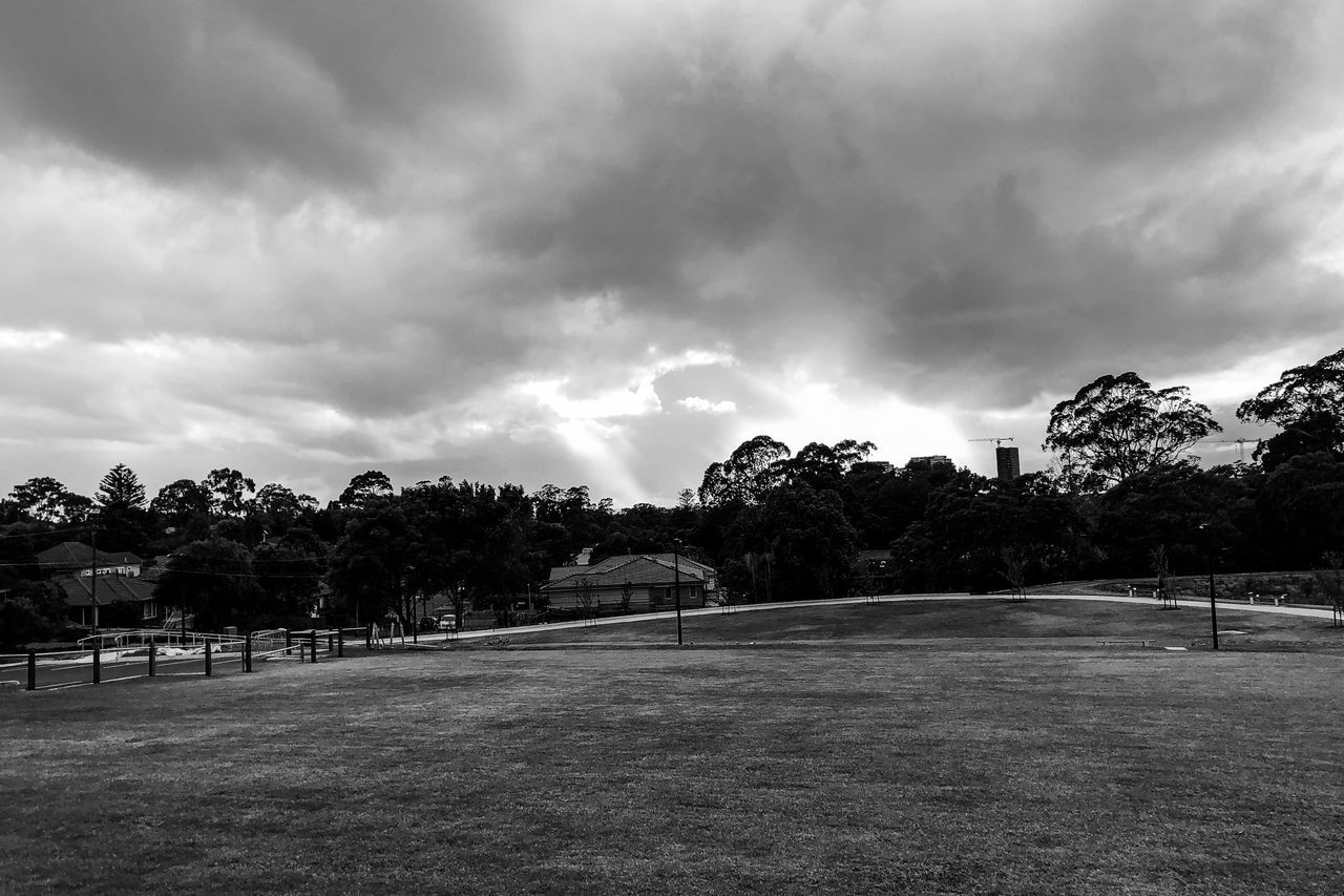 SCENIC VIEW OF FIELD AGAINST CLOUDY SKY