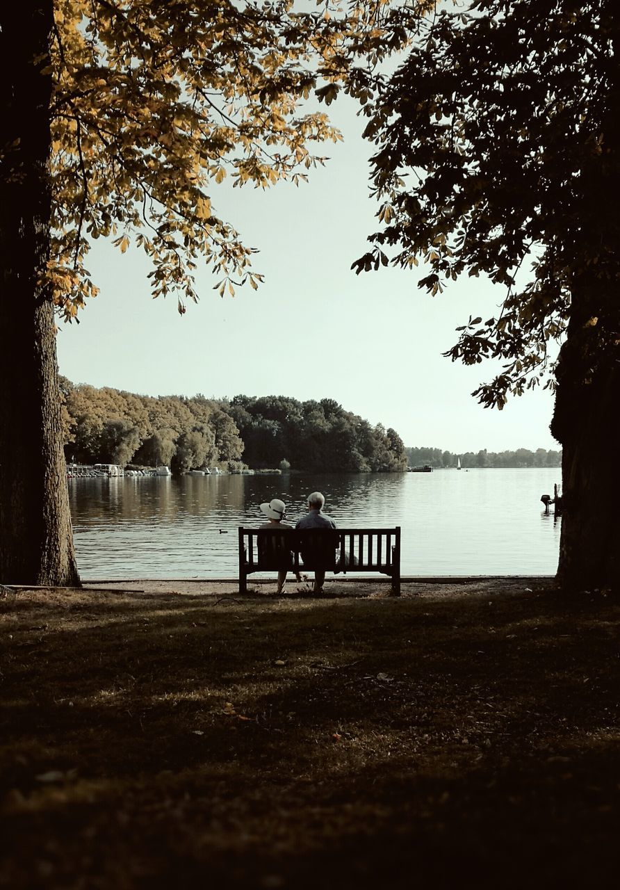 tree, lake, water, bench, empty, tranquility, tranquil scene, relaxation, lakeshore, park bench, clear sky, calm, nature, tree trunk, solitude, growth, day, remote, scenics, outdoors, beauty in nature, lakeside