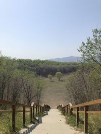 Footpath amidst field against clear sky