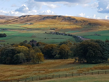 Scenic view of agricultural field against sky