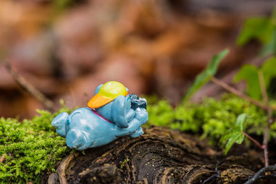 Close-up of toy on dirt road