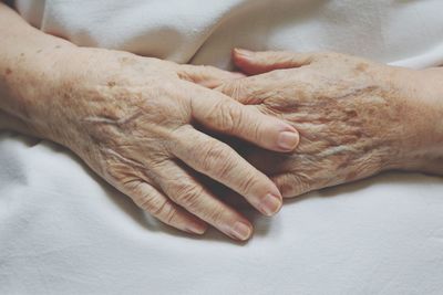 Close-up of the hands of a senior woman