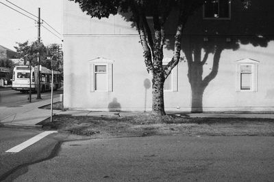 Exterior of building by road in city