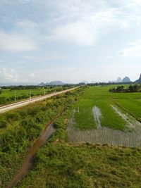 Scenic view of agricultural field against sky