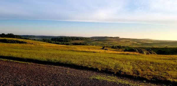 Scenic view of agricultural field against sky