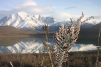 Scenic view of snowcapped mountains against sky