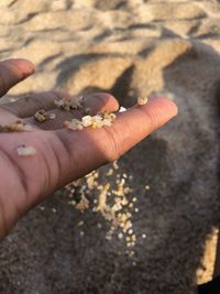 Cropped hand spilling stones at beach