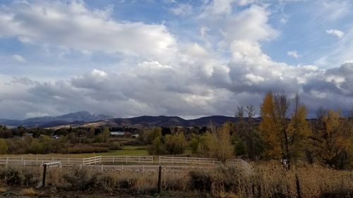 Scenic view of field against sky