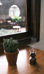 Close-up of potted plant on table