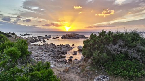 Scenic view of sea at sunset