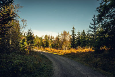 Road amidst trees against sky