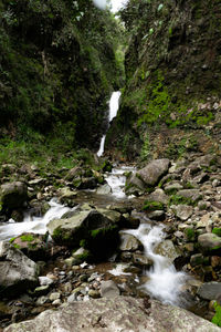 Stream flowing through rocks in forest