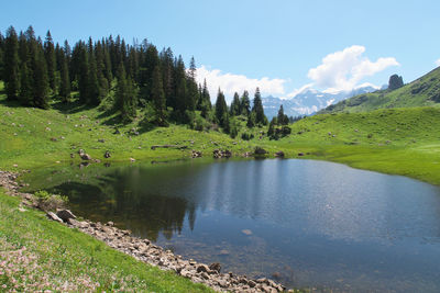 Scenic view of lake by trees against sky