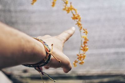 Cropped hand gesturing towards defocused flowers