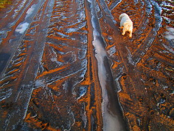 Full frame shot of rock in water