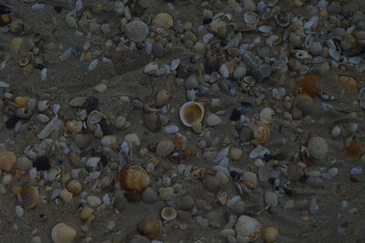 Full frame shot of pebbles on beach