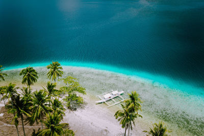 High angle view of palm trees on beach