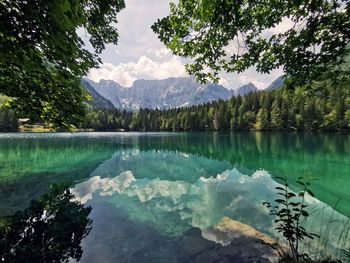 Scenic view of lake by trees against sky