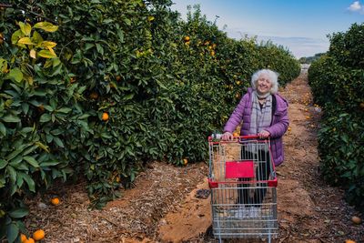 Mature gray-haired happy woman over 60 in a purple jacket in a citrus garden.