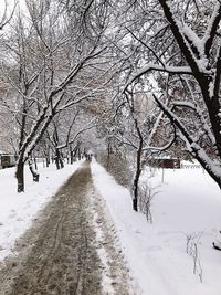 Snow covered road amidst trees during winter