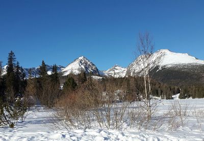 Snow covered field against blue sky