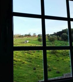 Scenic view of grassy field against sky