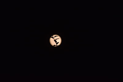 Low angle view of illuminated lamp in darkroom