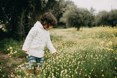Rear view of girl picking wild flowers