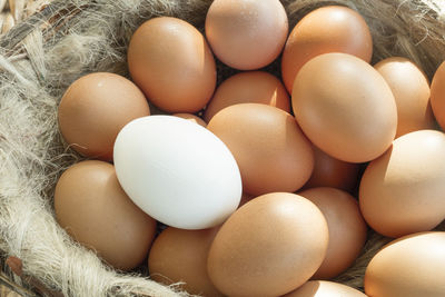 High angle view of eggs in container