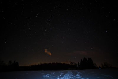 Scenic view of trees against sky at night