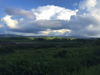 Scenic view of field against sky