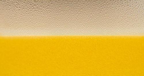 Close-up of beer glass