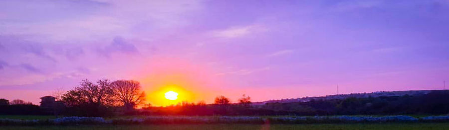 Scenic view of illuminated forest against sky at sunset