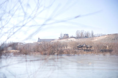 Bare trees by lake against sky during winter