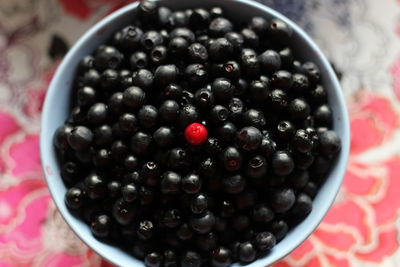 Close-up of berries in bowl