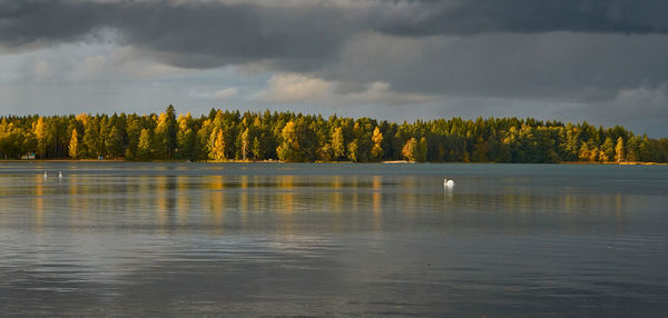 Scenic view of lake by trees against sky