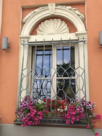 Low angle view of potted plants on window of building