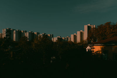 Trees and buildings against sky