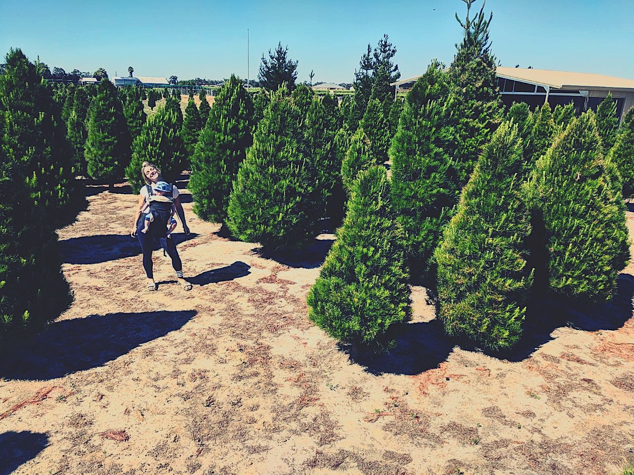 tree, real people, full length, day, sunlight, growth, shadow, plant, men, nature, lifestyles, outdoors, leisure activity, green color, one person, women, childhood, beauty in nature, sky, people