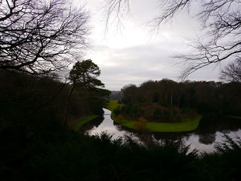 Scenic view of river in forest against sky