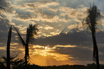 Low angle view of silhouette palm trees against dramatic sky