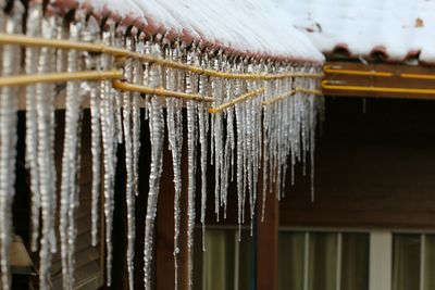 Close-up of icicles on house roof